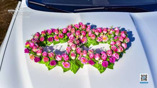 Вариант украшений для свадебного авто №65