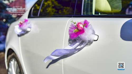 Вариант украшений для свадебного авто №65