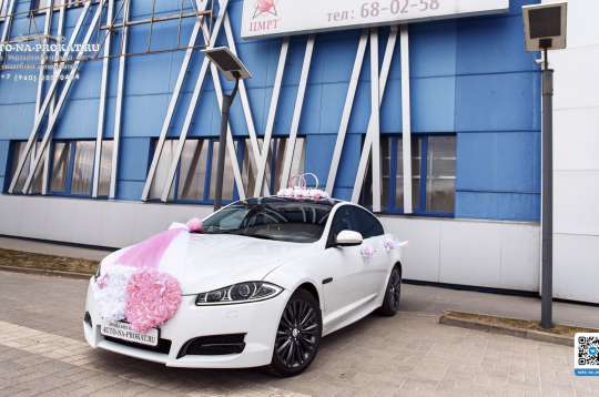 Вариант украшений для свадебного авто №69