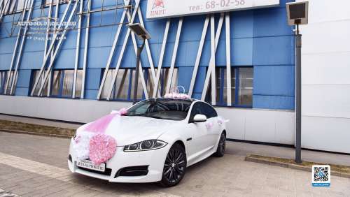Вариант украшений для свадебного авто №69
