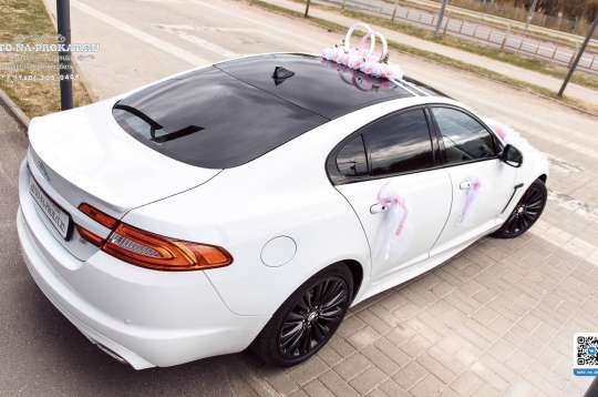 Вариант украшений для свадебного авто №69