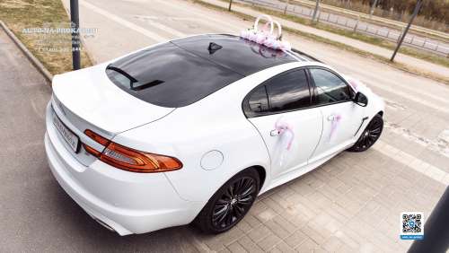 Вариант украшений для свадебного авто №69