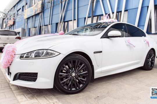 Вариант украшений для свадебного авто №69