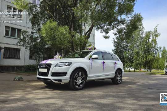 Вариант украшений для свадебного авто №16