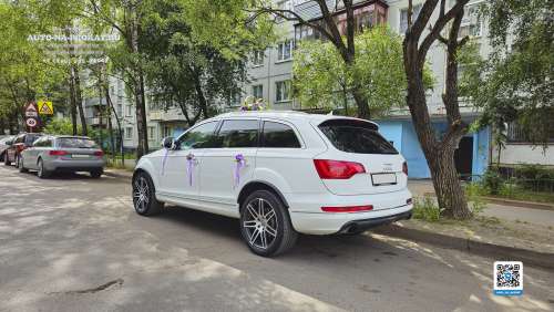 Вариант украшений для свадебного авто №16