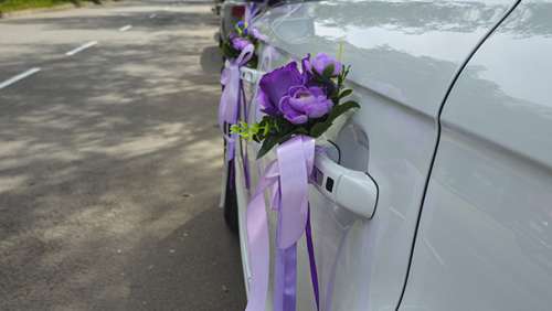 Вариант украшений для свадебного авто №16