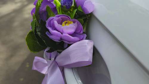 Вариант украшений для свадебного авто №16