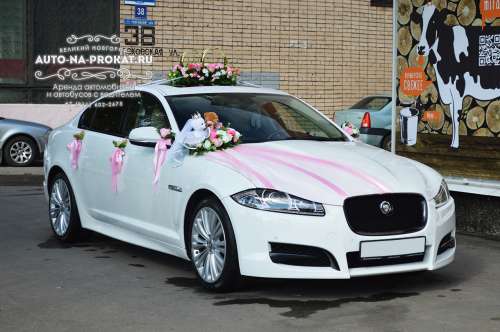 Jaguar XF и вариант украшения №03