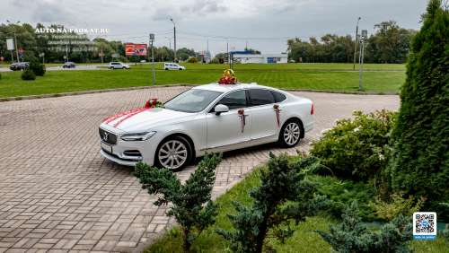 Вариант украшений для свадебного авто №18