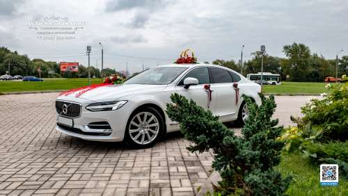 Вариант украшений для свадебного авто №18