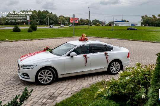 Вариант украшений для свадебного авто №18