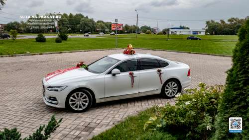 Вариант украшений для свадебного авто №18