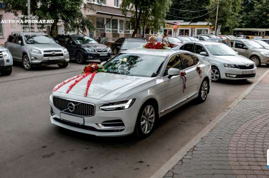 Вариант украшений для свадебного авто №18