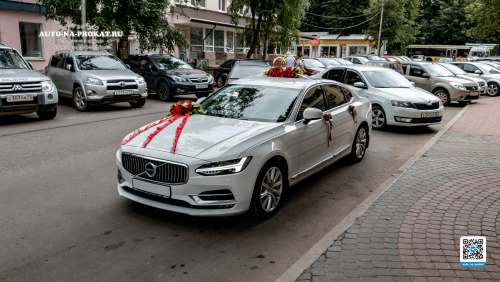 Вариант украшений для свадебного авто №18