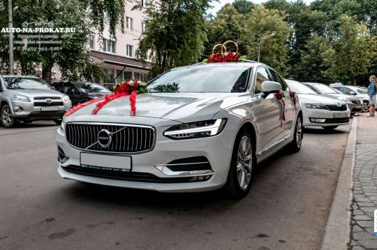 Вариант украшений для свадебного авто №18