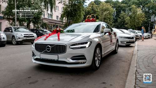 Вариант украшений для свадебного авто №18