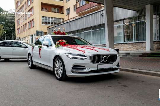 Вариант украшений для свадебного авто №18