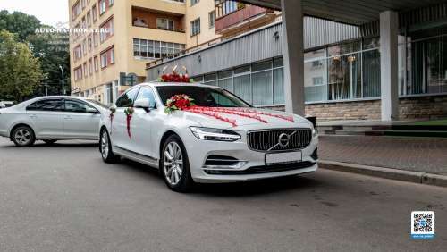 Вариант украшений для свадебного авто №18