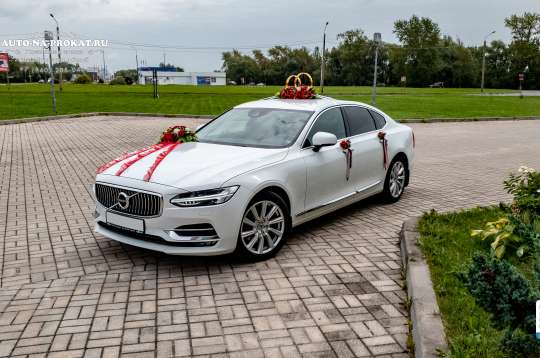 Вариант украшений для свадебного авто №18