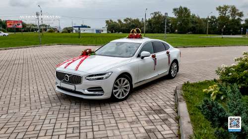 Вариант украшений для свадебного авто №18