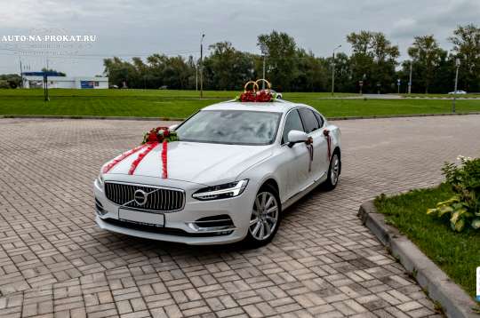 Вариант украшений для свадебного авто №18