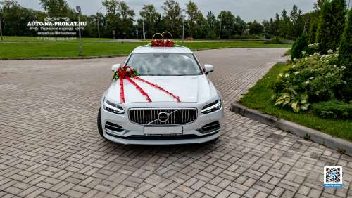 Вариант украшений для свадебного авто №18