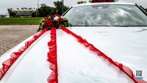Вариант украшений для свадебного авто №18