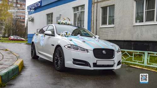 Вариант украшения №19 с голубыми лентами