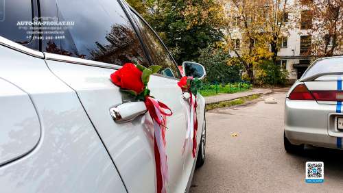 Вариант украшения №19 в красном исполнении