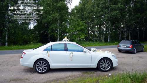 Вариант свадебного украшения 19