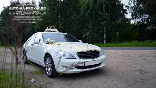 Вариант свадебного украшения 19