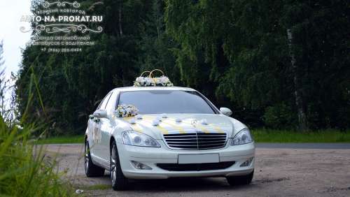 Вариант свадебного украшения 19