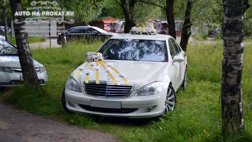 Вариант свадебного украшения 19