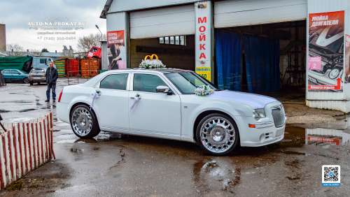 Вариант украшений для свадебного авто №20