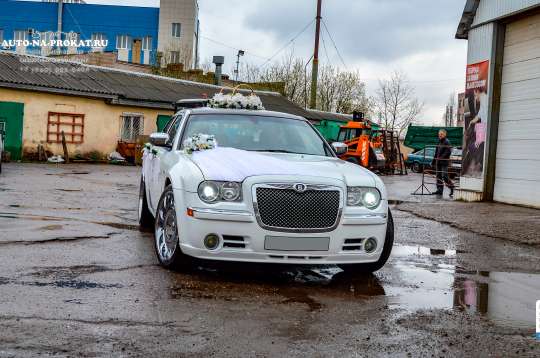 Вариант украшений для свадебного авто №20