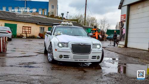 Вариант украшений для свадебного авто №20