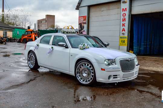 Вариант украшений для свадебного авто №20