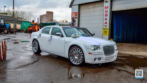 Вариант украшений для свадебного авто №20