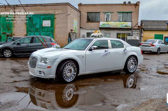 Вариант украшений для свадебного авто №20