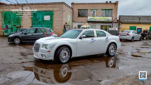 Вариант украшений для свадебного авто №20