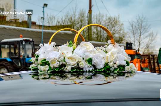 Вариант украшений для свадебного авто №20