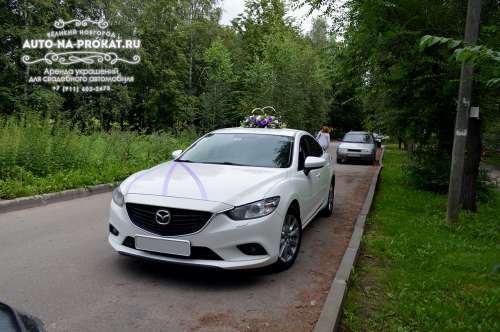  и вариант украшения №51