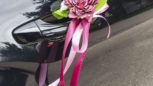 Вариант украшений для свадебного авто №22