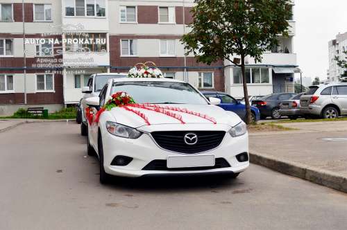  и вариант украшения №18