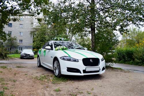 Jaguar XF и вариант украшения №38 Jaguar XF и вариант украшения №38