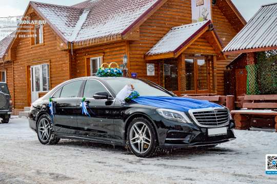 Вариант украшений для свадебного авто №25