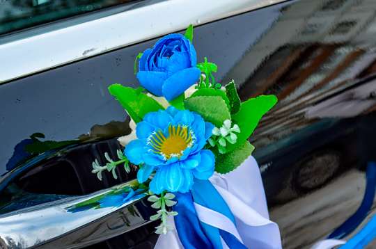 Вариант украшений для свадебного авто №25