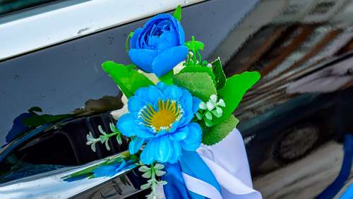 Вариант украшений для свадебного авто №25