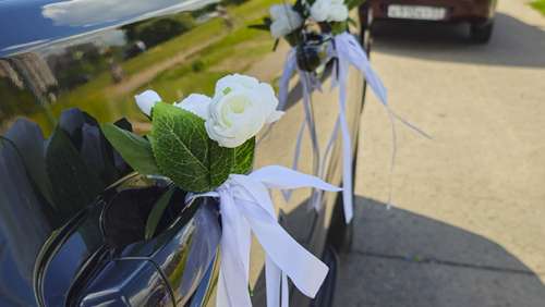 Вариант украшений для свадебного авто №26