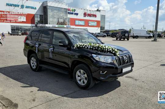 Вариант украшений для свадебного авто №26